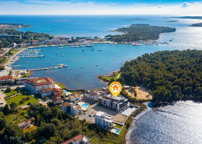 Vizula D - App Undine - Mpolo *